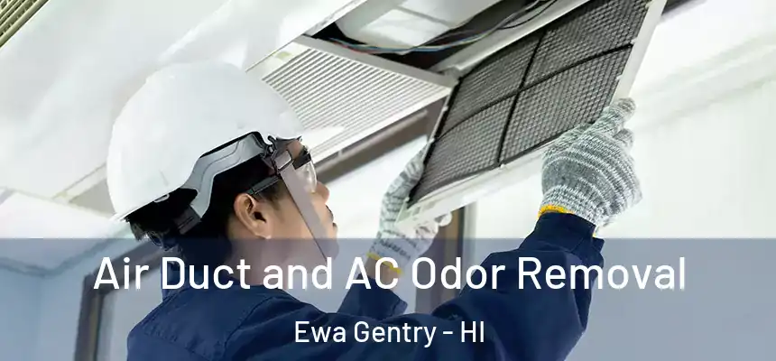 Air Duct and AC Odor Removal Ewa Gentry - HI