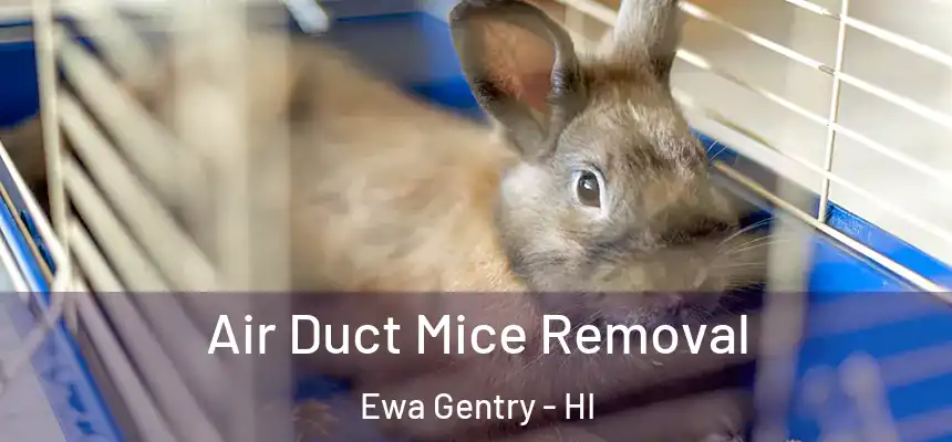  Air Duct Mice Removal Ewa Gentry - HI