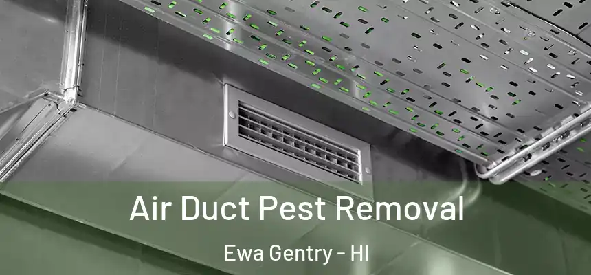  Air Duct Pest Removal Ewa Gentry - HI