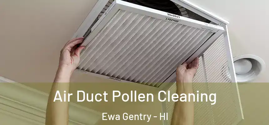  Air Duct Pollen Cleaning Ewa Gentry - HI