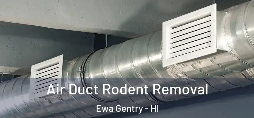  Air Duct Rodent Removal Ewa Gentry - HI