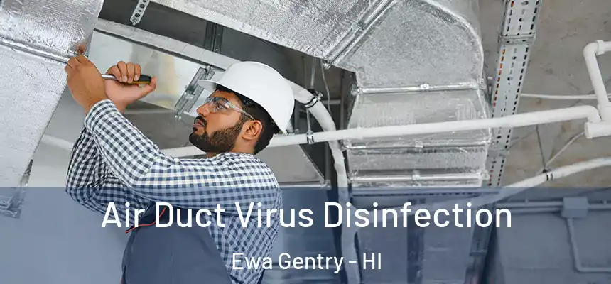  Air Duct Virus Disinfection Ewa Gentry - HI