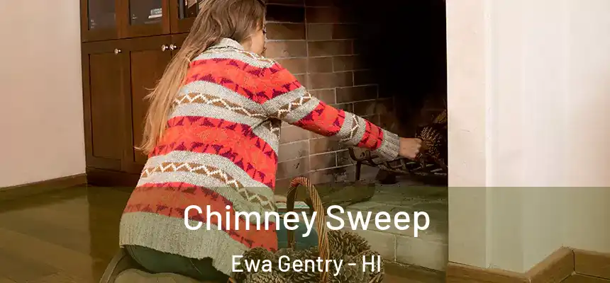  Chimney Sweep Ewa Gentry - HI