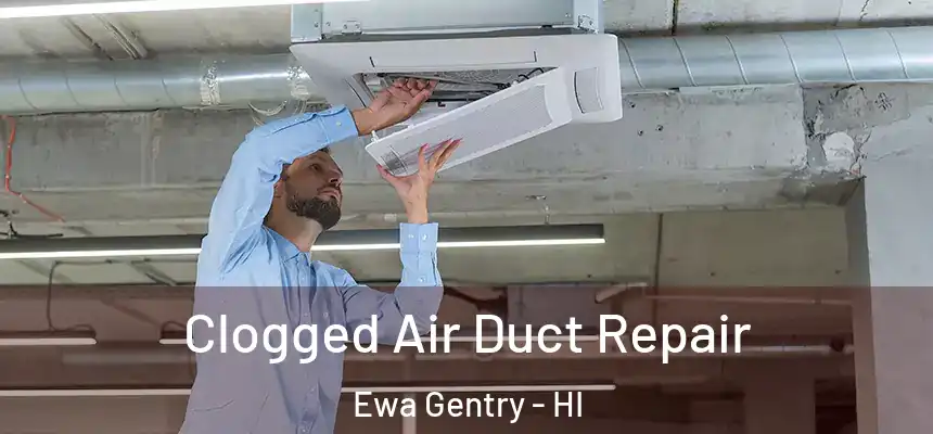  Clogged Air Duct Repair Ewa Gentry - HI