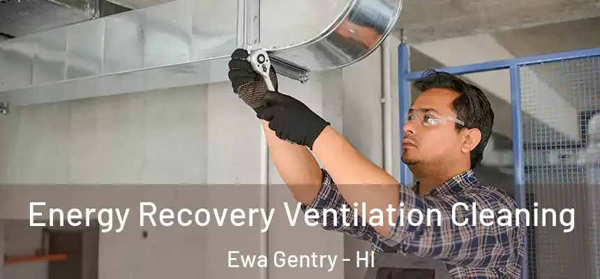 Energy Recovery Ventilation Cleaning Ewa Gentry - HI