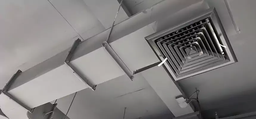 Restorative Allergy Relief Vent Cleaning – Coil, Blower & Housing Detail in Ewa Gentry