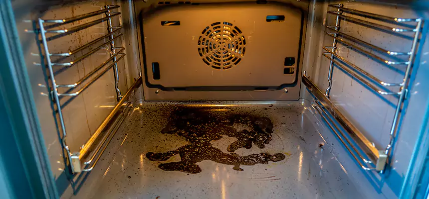 Our Dryer Vent Mold Cleaning Services in Ewa Gentry, HI