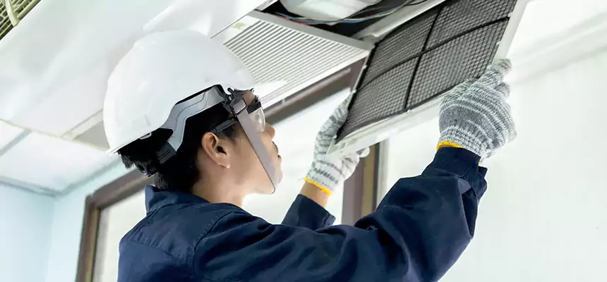 Our Mold & Mildew Removal from Air Ducts Services in Ewa Gentry, HI