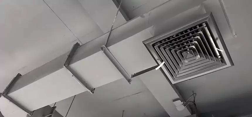 Our Pest Removal From Ducts Services in Ewa Gentry, HI