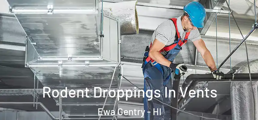 Rodent Droppings In Vents Ewa Gentry - HI