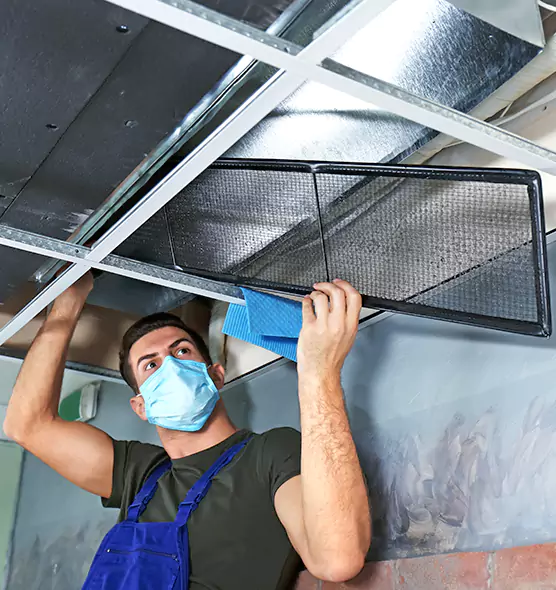 About Air Duct Bacteria Removal in Ewa Gentry