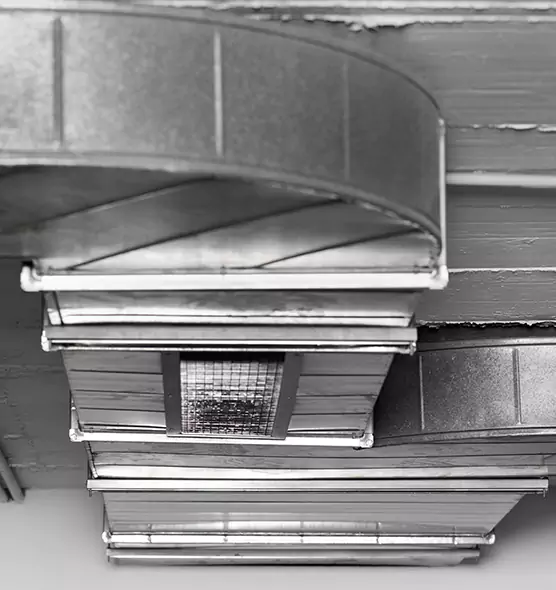 Professional Air Duct Pest Removal in Ewa Gentry, HI