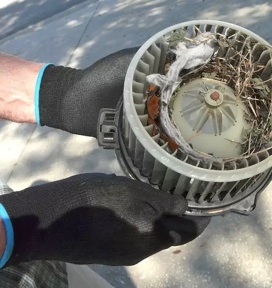 About Air Duct Rat Removal in Ewa Gentry, HI