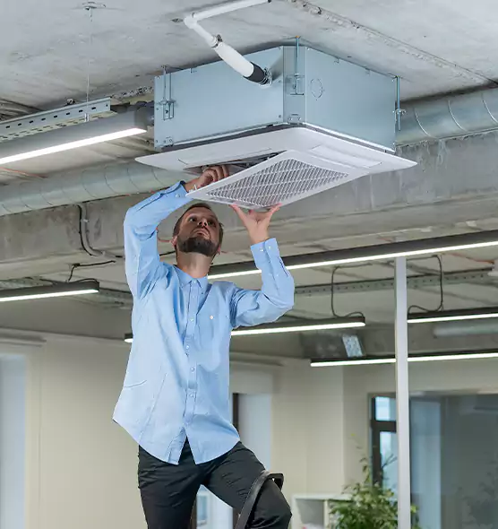 Advanced Rodent Droppings In Vents in Ewa Gentry, HI
