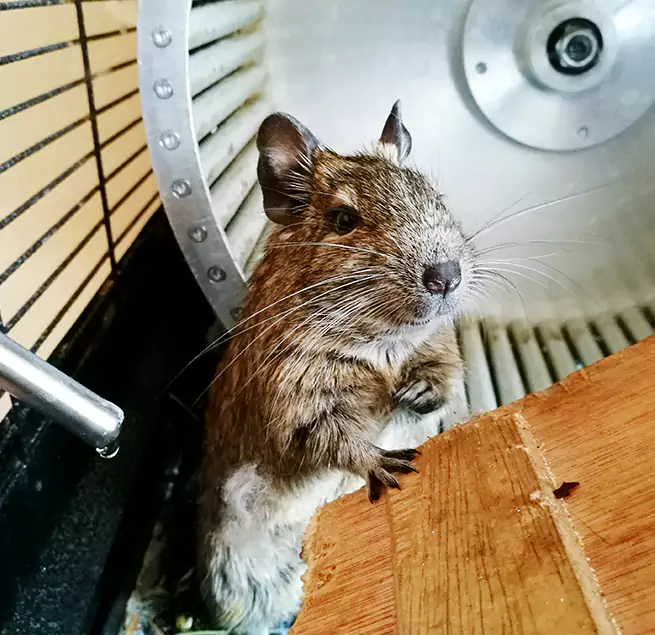 Why Homeowners & Businesses Trust Us Ewa Gentry, HI