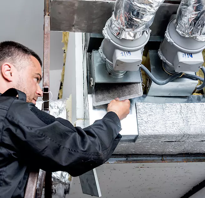 Why Homeowners & Businesses Trust Us in Ewa Gentry, HI