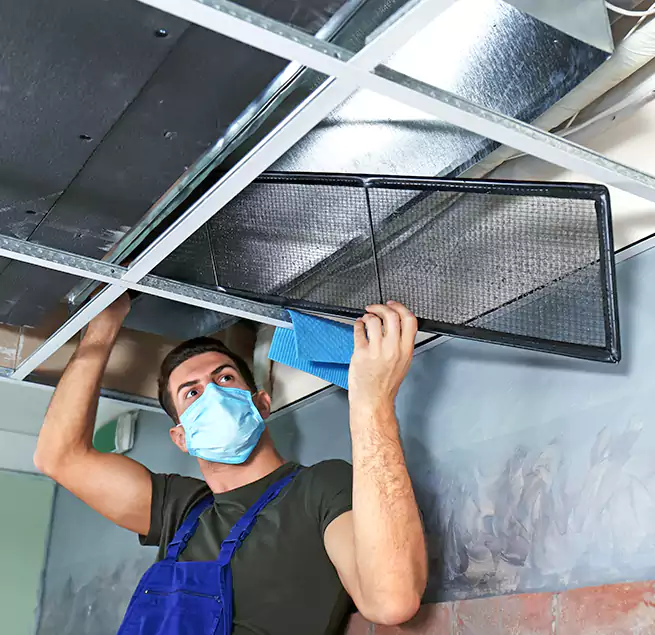 Why Homeowners Businesses Trust Us in Ewa Gentry, HI